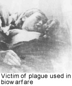 E24plague
