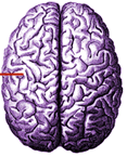 Mind1